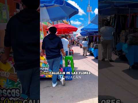 El famoso Callejón de las Flores de Tehuacán Puebla México 🇲🇽
