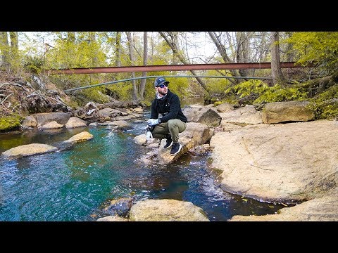 Found Urban Creek FULL of Fish!! (Micro) - Jiggin With Jordan