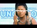 Mashudu & Kabza De Small - Ucingo (Official Visualizer & Lyrics Video w/t English Translation)