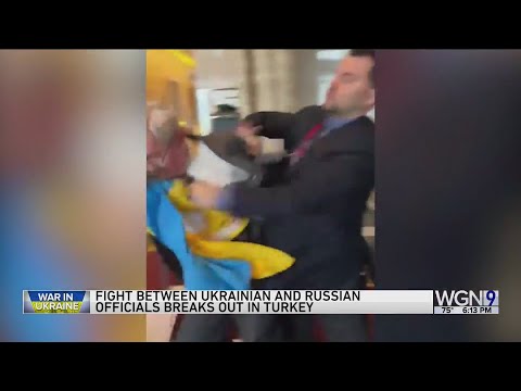 Ukraine delegate hits Russian at Black Sea summit in Turkey