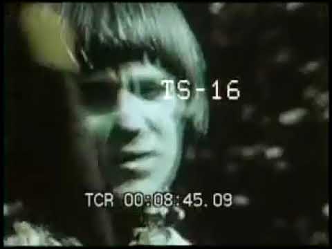 Lemon Pipers - "Jelly Jungle" promo film 1968