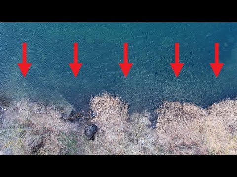 Hier musst du jetzt angeln! Karpfenangeln am Baggersee