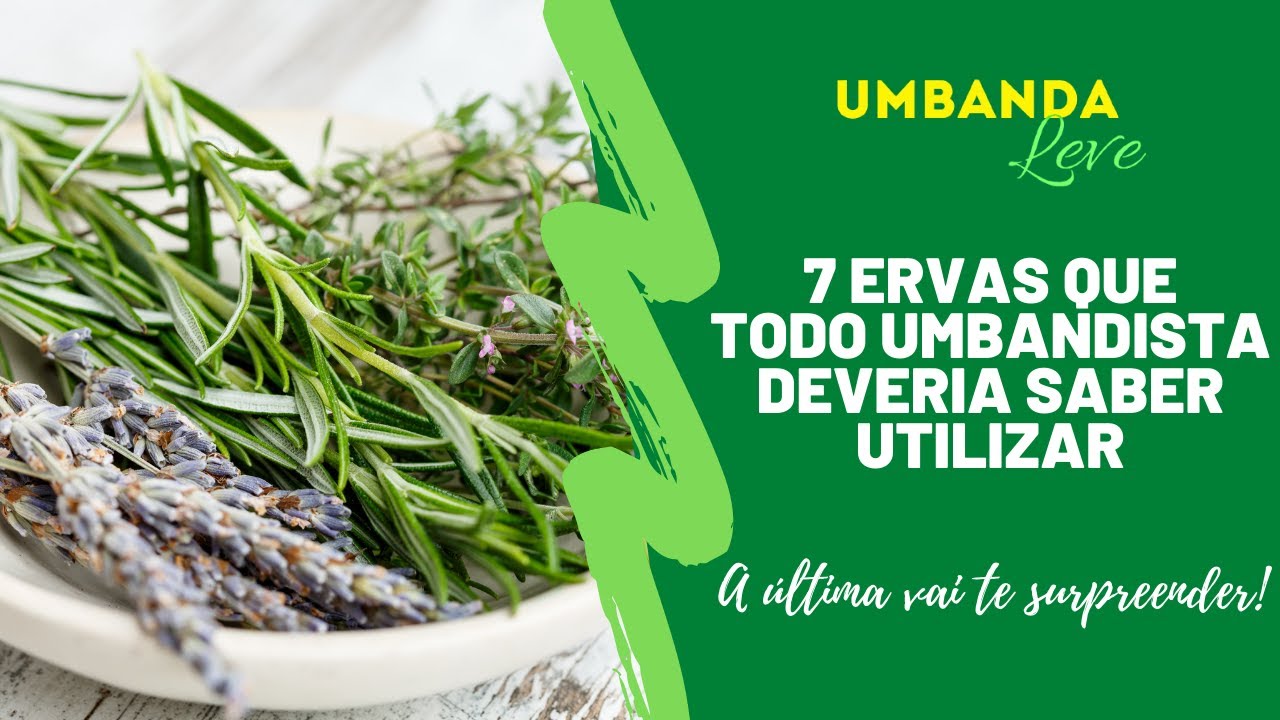 7 ERVAS QUE TODO UMBANDISTA DEVERIA SABER UTILIZAR