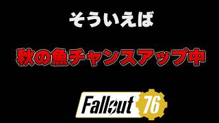 秋の魚釣れるチャンスアップ中【FO76】じゅうはちきんのフォールアウト76