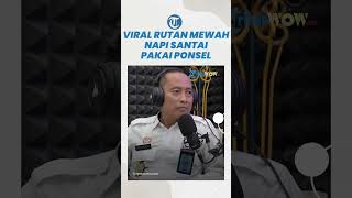 Viral Foto Fasilitas Rutan Mewah, Narapidana Narkoba Santai Pakai Ponsel