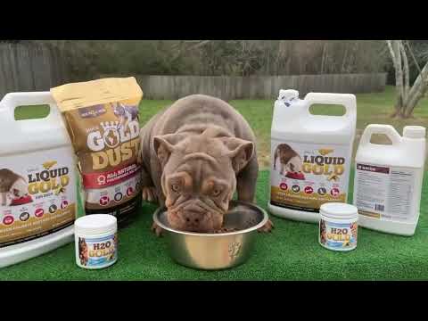 The New look 👀 of SBK’S Liquid Gold