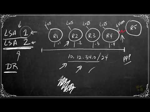 236. OSPF and Point to Point Networks