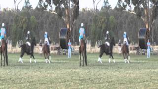 preview picture of video 'NZ U16 Polocrosse @ 2013 Australian Junior Classic Game 2'