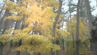 quintessence desktop