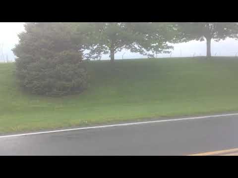 Very loud truck horn in Mannheim today for make a wish for Mother's Day convoy 2021