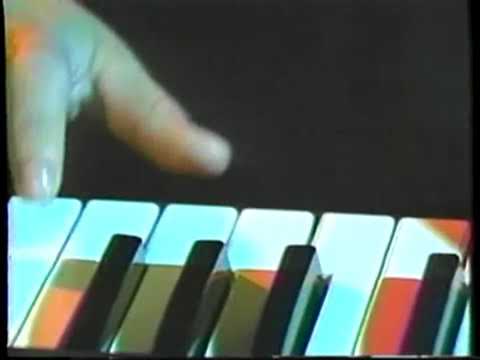 Orquesta internacional los niches perdonemonos