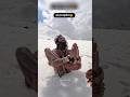 Power Of Aghori Sadhu Shorts Sanatandharma Hindu