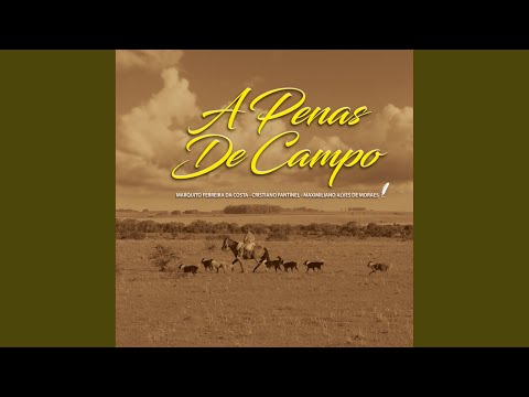 A Buscar Guarida video