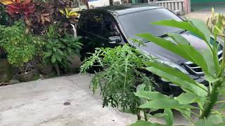 Download lagu APV campervan jadi juga mp3