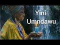 Yini UMndawu