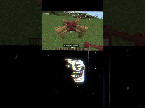 MR More07 - minecraft viral Tiktok hack #shorts #minecraft