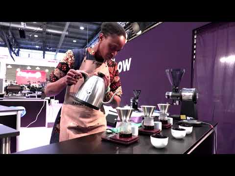 COMPULSORY BREWERS CUP FRANCE SIRHA 2019 - REGINE GUION FIRMIN