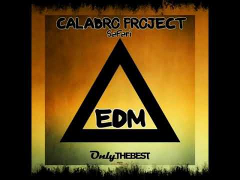 Calabro Project - SAFARI 🦁