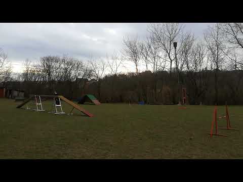 Lynn RC - without target 2020.02.19.