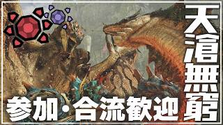 【MHWilds】鎧玉を生み出す：天滄無窮【モンスターハンターワイルズ】