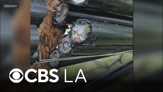 Cut fiber optic lines cause Spectrum outages in Santa Clarita