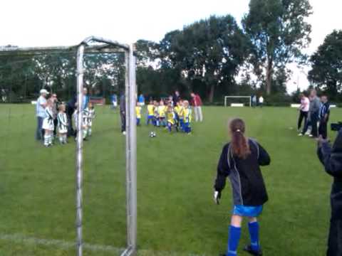 Blauw Geel F1 - Velocitas F1