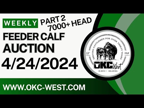 4/24/2024 - Part 2 - Feeder Calf Auction - OKC West