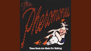 Download lagu These Boots Are Made for Walkin' mp3