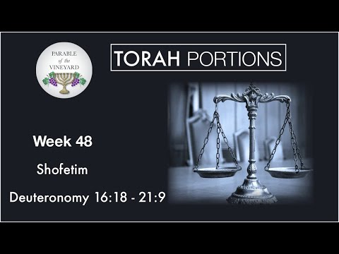 Torah Portions - Week 48 - Shofetim -  "Judges" Deuteronomy 16:18 - 21:9