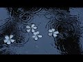 Whatsaheart Sky Falling For You SUB ESPAÑOL