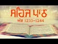 Sehaj Path Ang 1233 To 1244 | Bhai Sarwan Singh | Fizza Records Gurbani