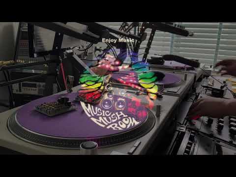 ”Bass House” - Traktor Pro 3 Beatport Link