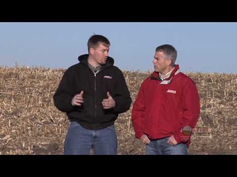 Weed of the Week #614-Common Ragweed (From Ag PhD #614 1/10/10)