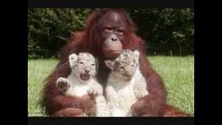 "The Hug Song" by Arthur May