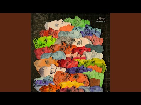 Videoclip de Follow the Water — Iron & Wine