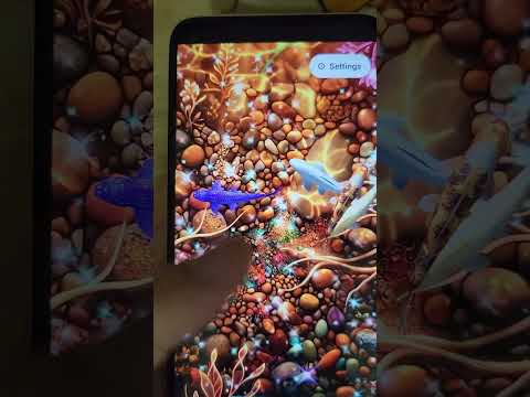 Koi Fish Pond Live Wallpaper video thumbnail