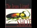 The Jesus Lizard - Trephination 
