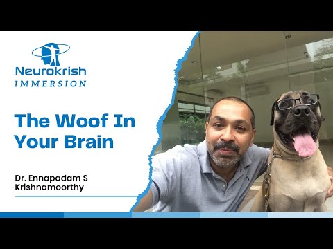The Woof In Your Brain