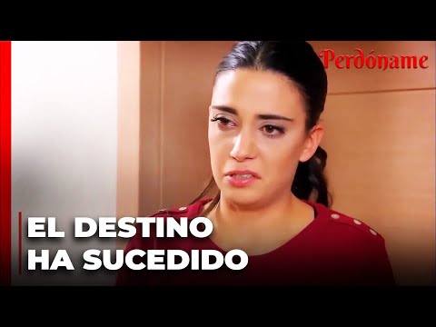 El destino fue capturado por Ferman y Yıldız - Perdóname