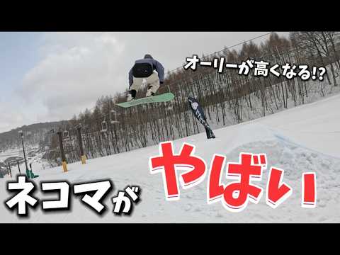 【進化している】星野リゾート ネコママウンテンスキー場
