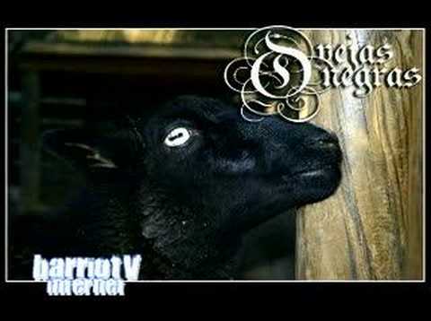 BARRIO TV INTERNET OVEJAS NEGRAS FT PROMETEUS