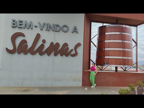Cidade de SALINAS ( Minas Gerais )