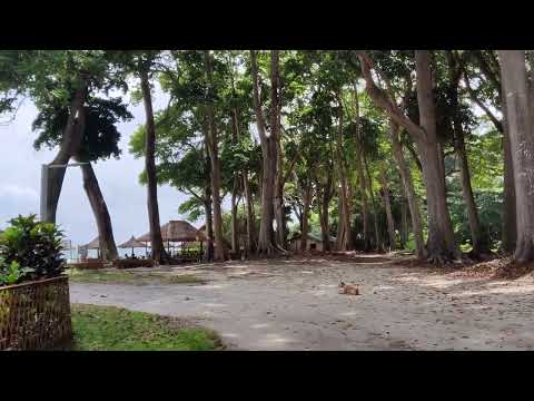 Radhanagar Beach | Havelock | Andman