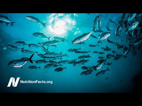 Are Calcium Supplements Safe