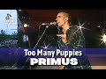 Primus • Too Many Puppies • 1991 [Reelin' In The Years Archive]