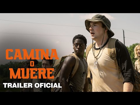 Trailer Latino