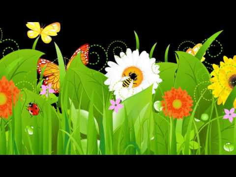 მე დავხატავ - me davxatav