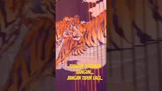 Download lagu Bangun harimau bangun #shorts mp3