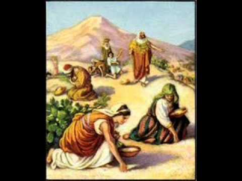 Send Me a Surplus - Glen Graham