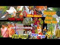 assamese culture tuloni biya sivasagar ahom tuloni biya rituals তুলনী বিয়া বিয়া নাম পানী কোতা